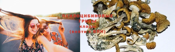Альфа ПВП Балахна