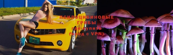 дживик Беломорск