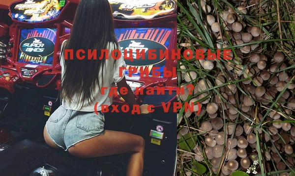 стафф Баксан